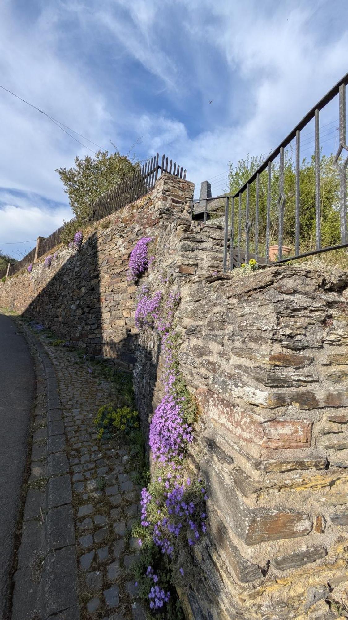 Zum Alten Pfarrhaus Damscheid Exterior foto